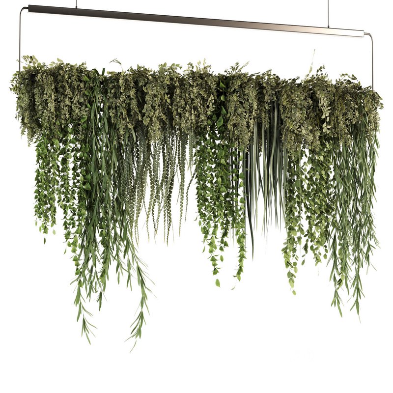 Indoorplants- Hanging Plants – Set50 Image 4