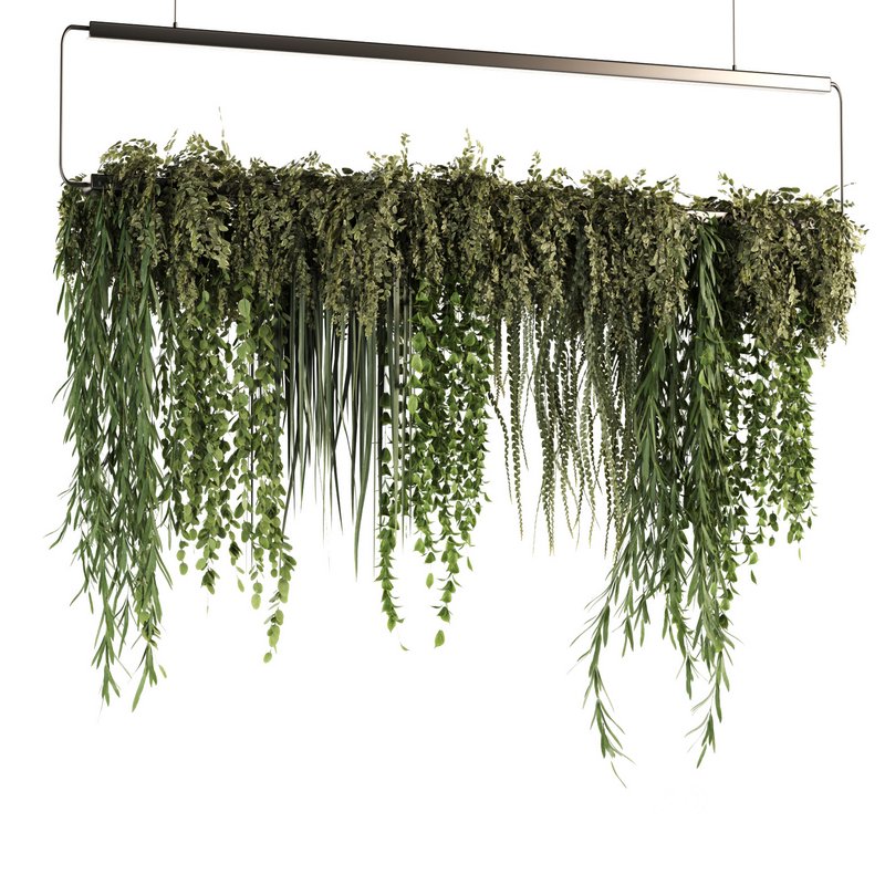 Indoorplants- Hanging Plants – Set50 Image 6