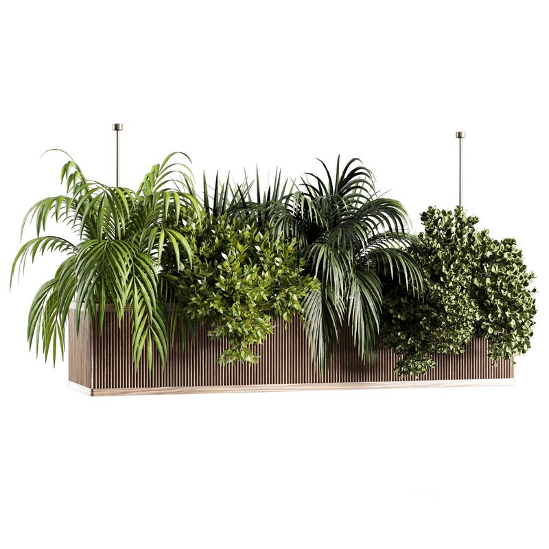 Indoorplants-Hanging set-67 Image 4