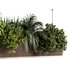 Indoorplants-Hanging set-67 - Thumbnail 3