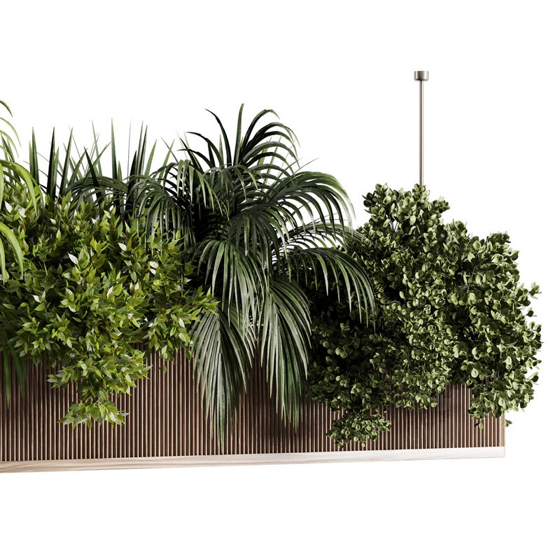 Indoorplants-Hanging set-67 Image 3