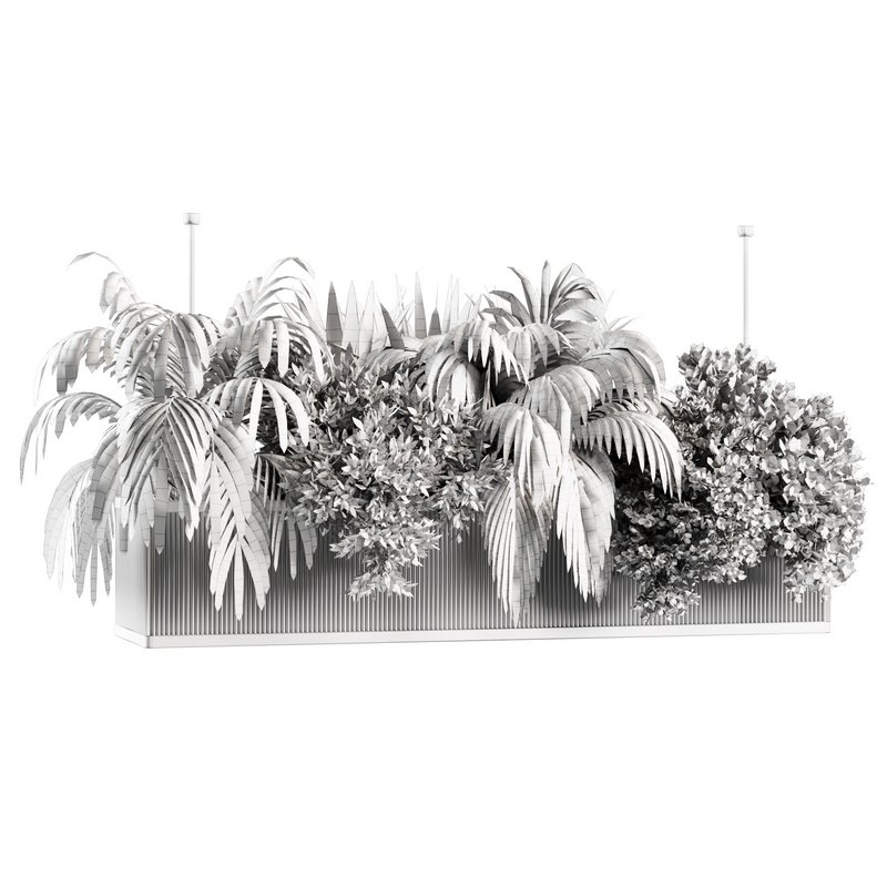 Indoorplants-Hanging set-67 Image 5