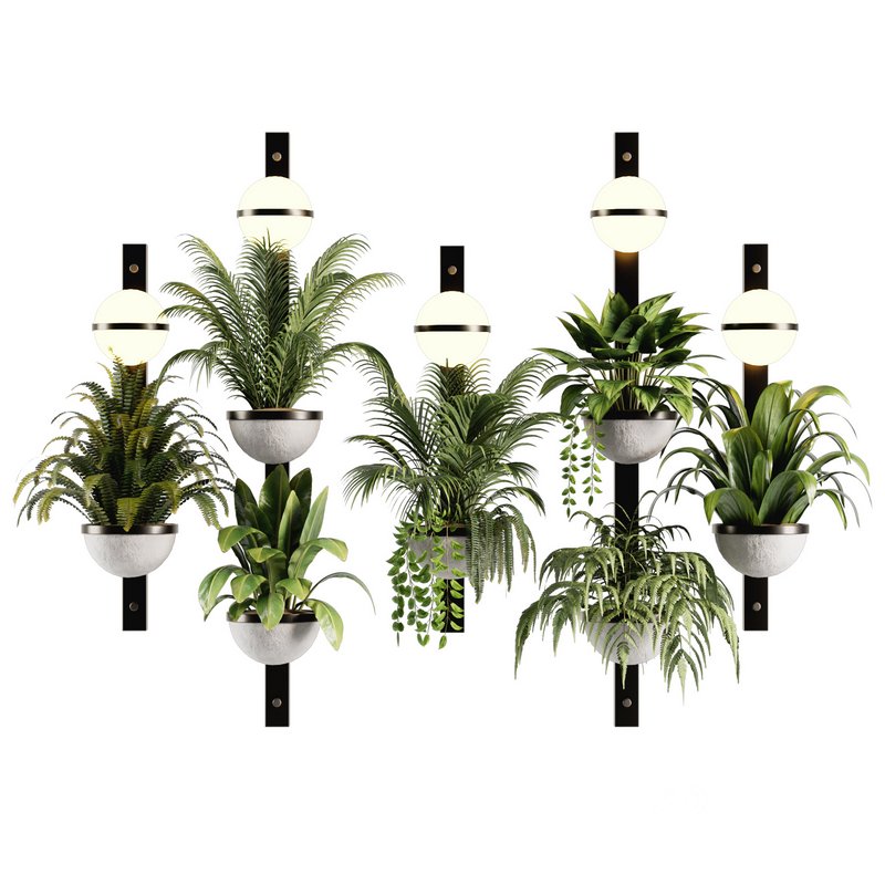 Indoorplants-Hanging set-68 Image 1