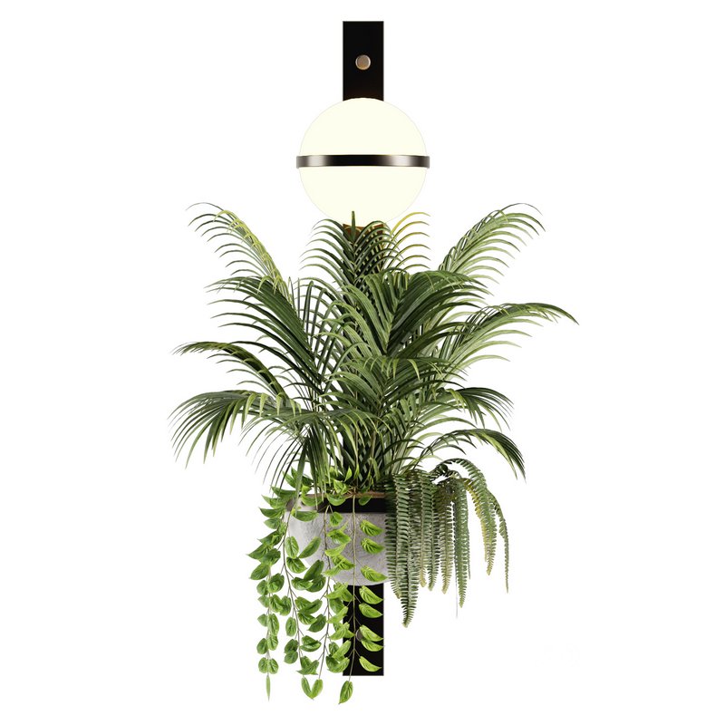 Indoorplants-Hanging set-68 Image 3