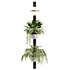Indoorplants-Hanging set-68 - Thumbnail 2