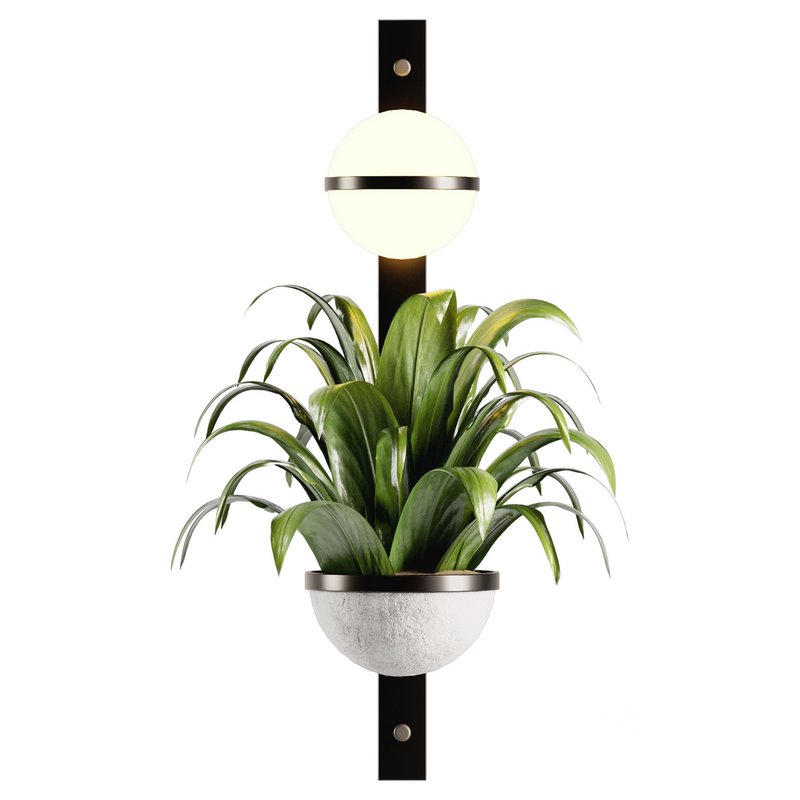 Indoorplants-Hanging set-68 Image 4