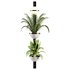 Indoorplants-Hanging set-68 - Thumbnail 5