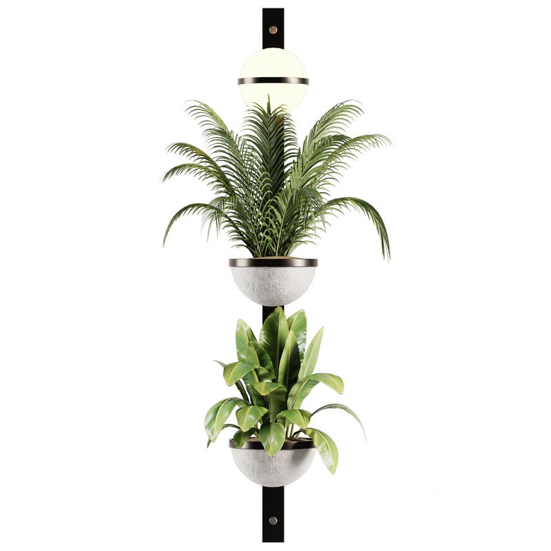 Indoorplants-Hanging set-68 Image 5