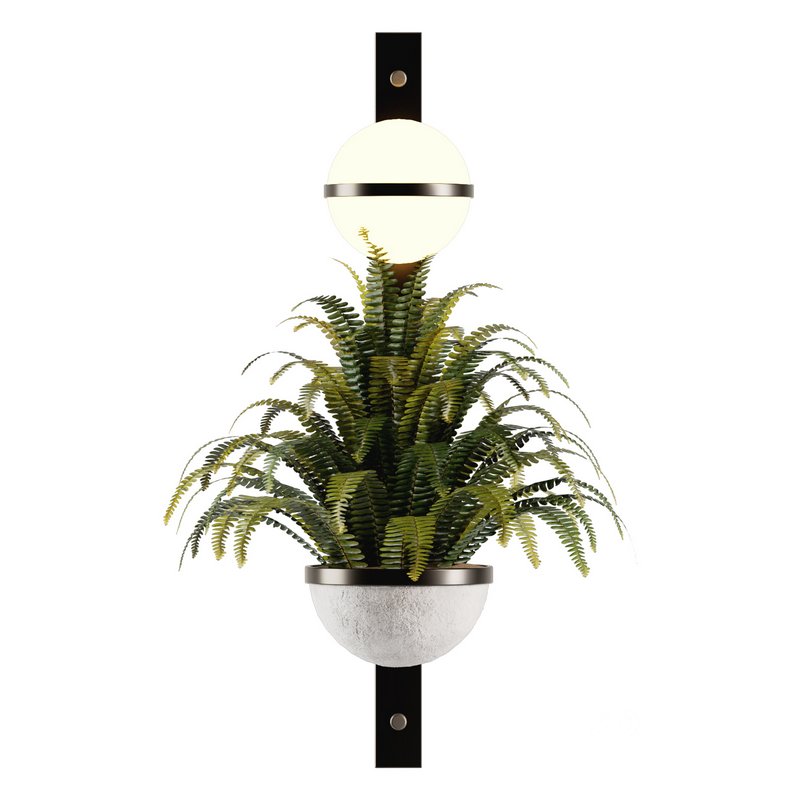Indoorplants-Hanging set-68 Image 6
