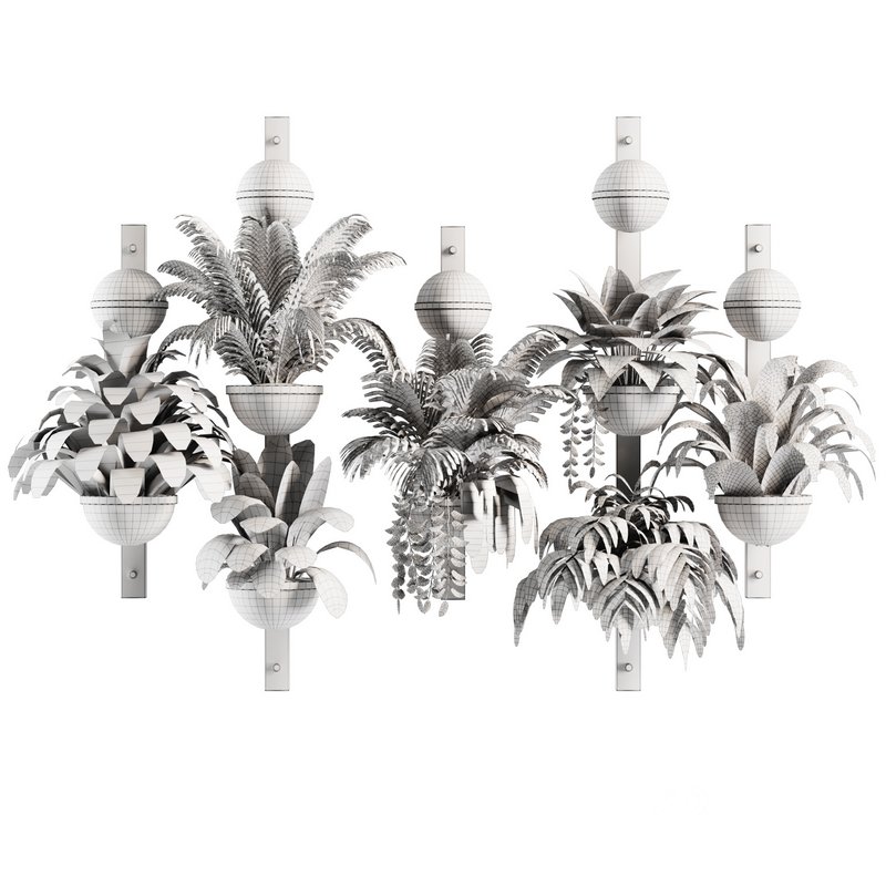 Indoorplants-Hanging set-68 Image 7