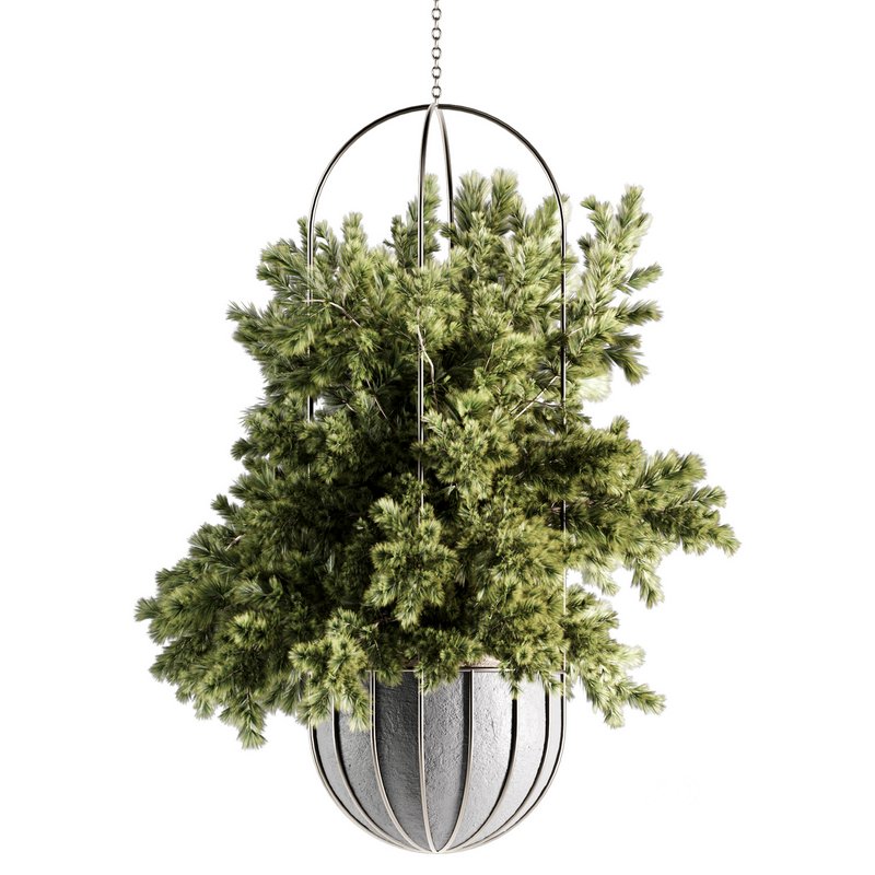 Indoorplants-Hanging set-69 Image 3