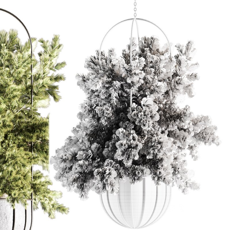 Indoorplants-Hanging set-69 Image 2