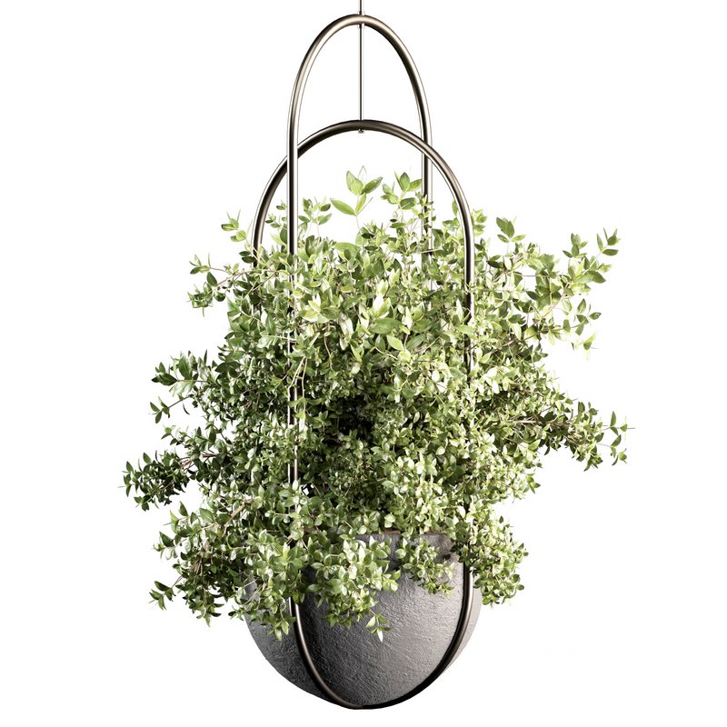 Indoorplants-Hanging set-70 Image 1
