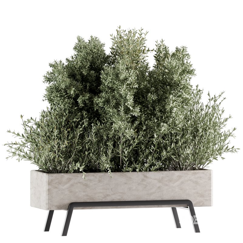 Indoorplants-set139 Image 1