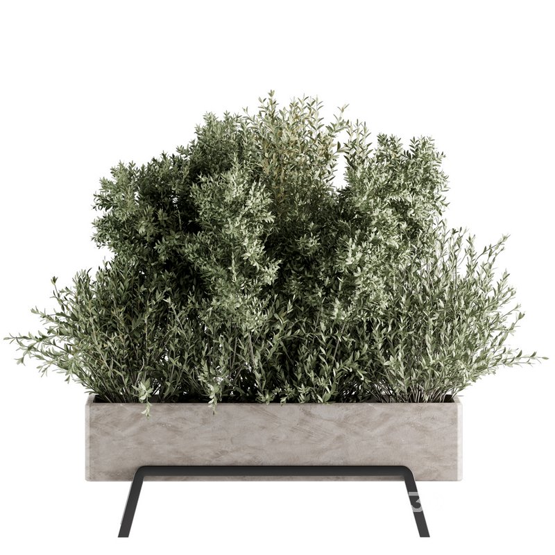 Indoorplants-set139 Image 2