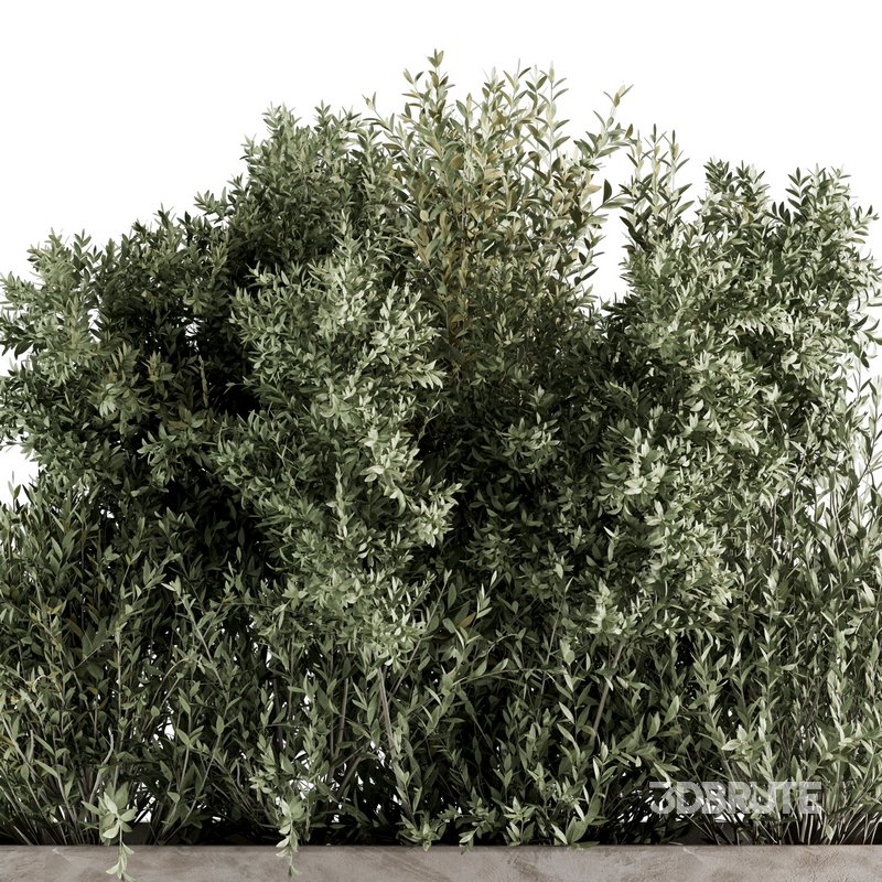 Indoorplants-set139 Image 3