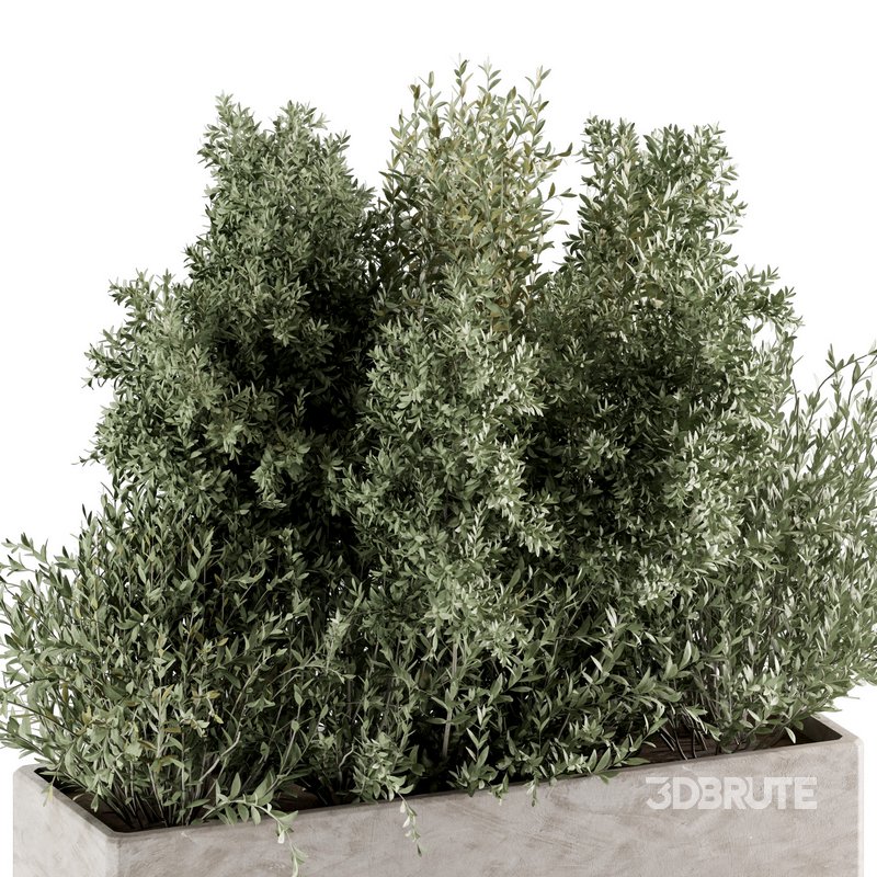 Indoorplants-set139 Image 4