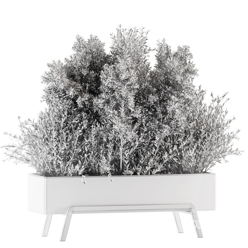 Indoorplants-set139 Image 5