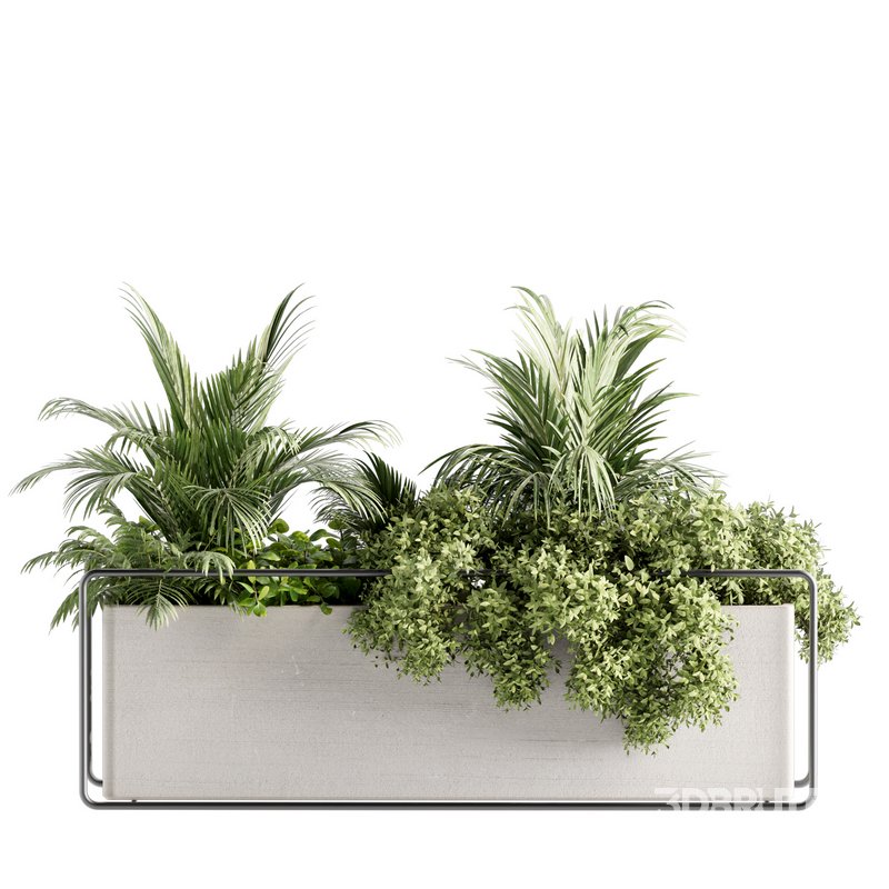 Indoorplants-set140 Image 4