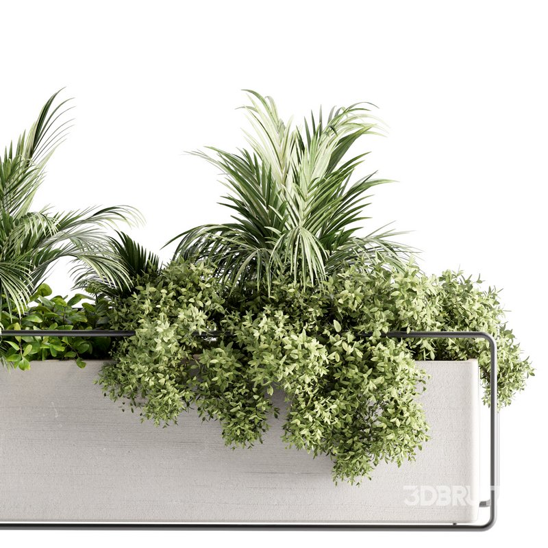 Indoorplants-set140 Image 3