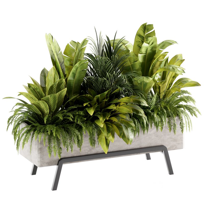 Indoorplants-set141 Image 3