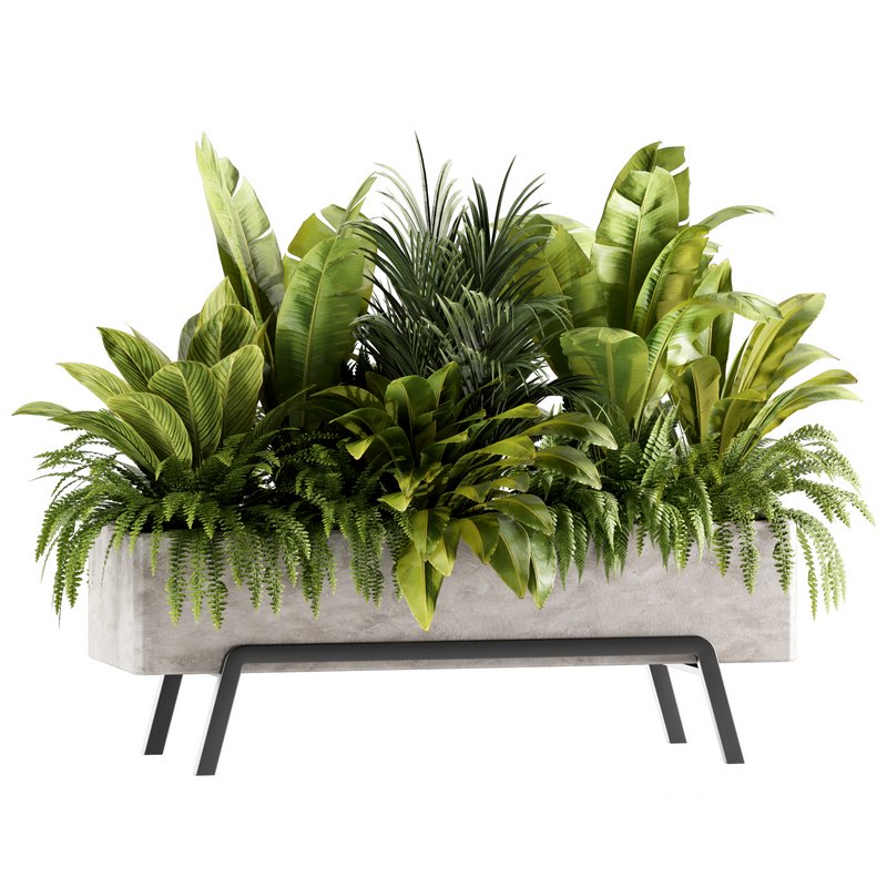 Indoorplants-set141 Image 1