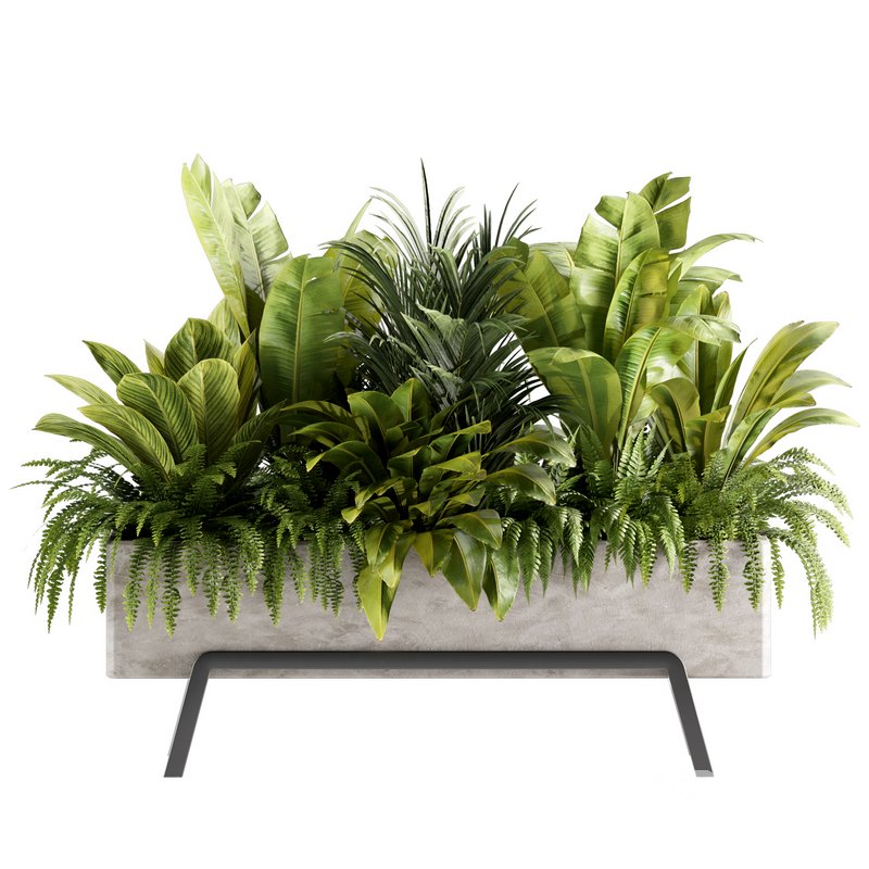 Indoorplants-set141 Image 2