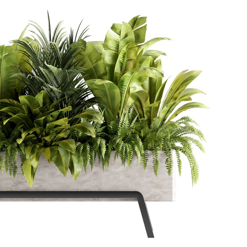 Indoorplants-set141 Image 4