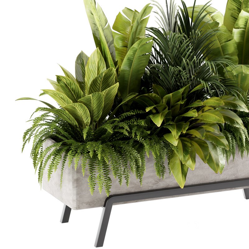 Indoorplants-set141 Image 5