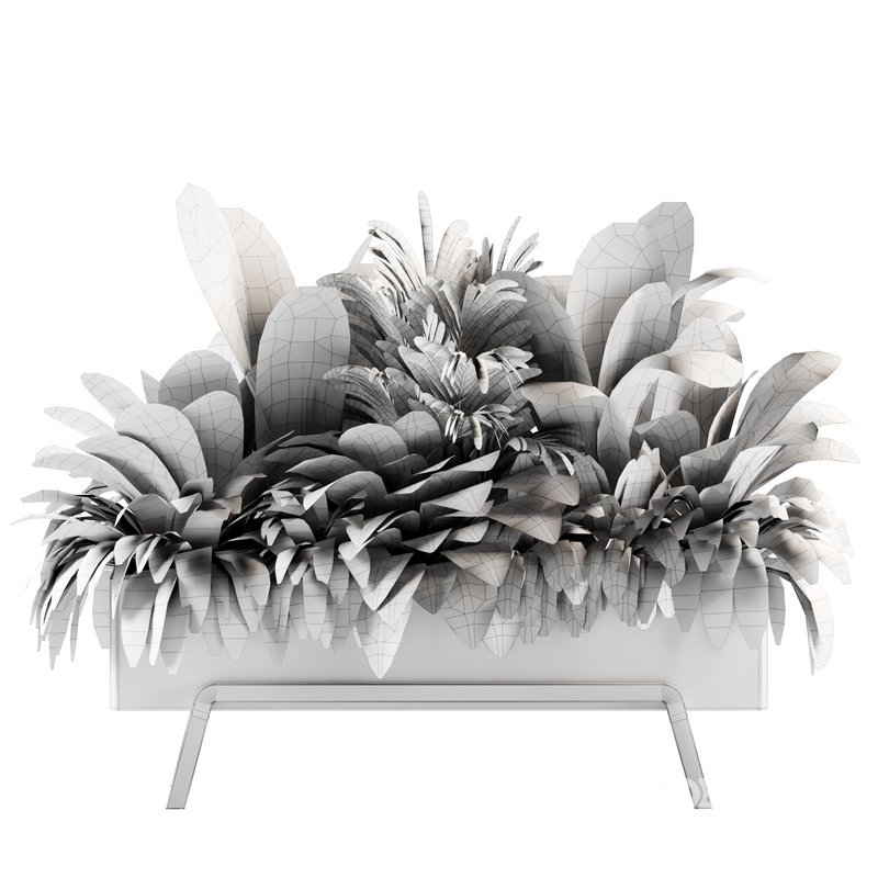 Indoorplants-set141 Image 6