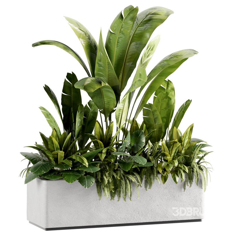 IndoorPlants set142 Image 2