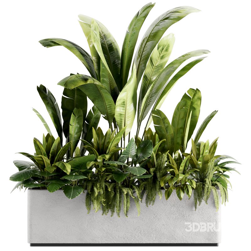 IndoorPlants set142 Image 3