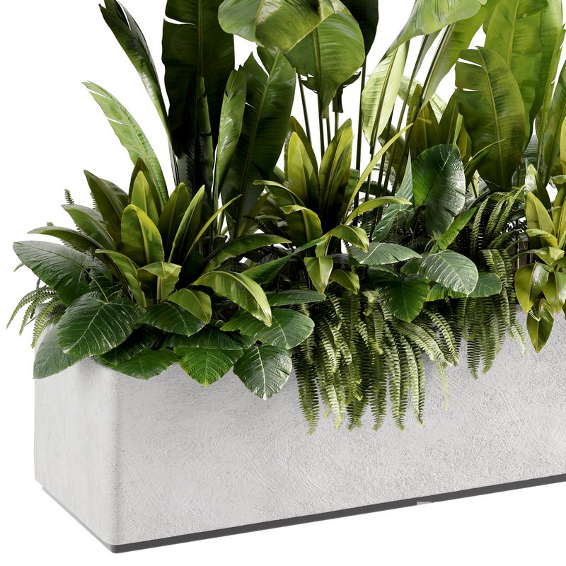 IndoorPlants set142 Image 1