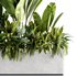 IndoorPlants set142 - Thumbnail 4