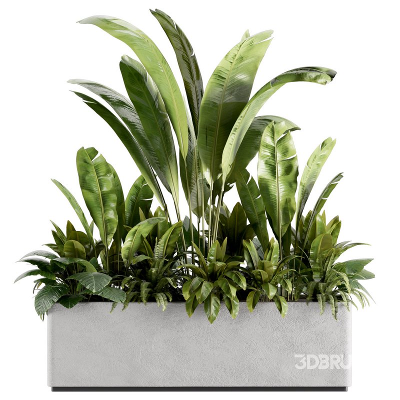 IndoorPlants set142 Image 5