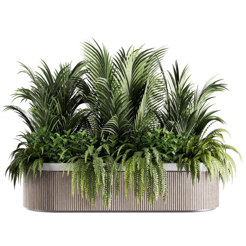 IndoorPlants set143 Image 1