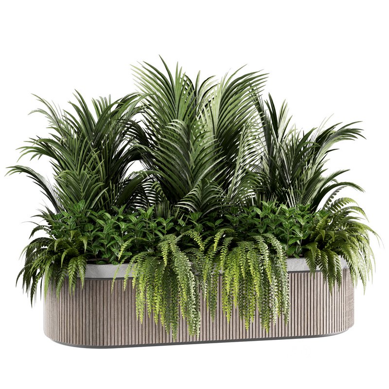 IndoorPlants set143 Image 2