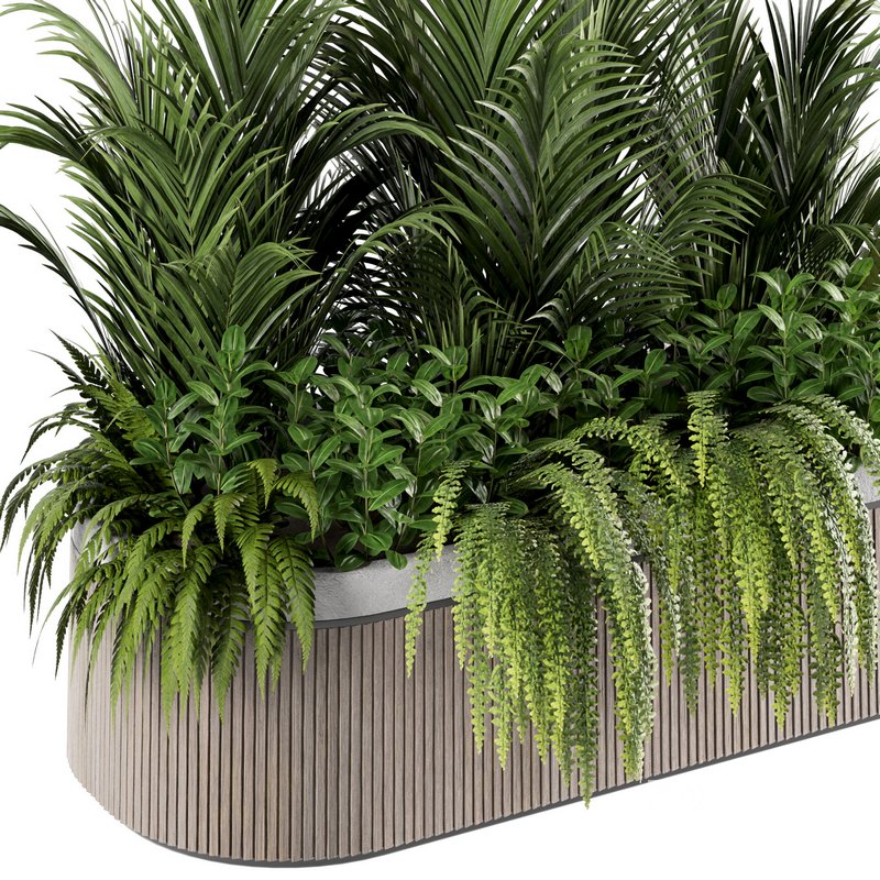 IndoorPlants set143 Image 3