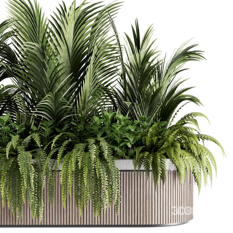 IndoorPlants set143 Image 5