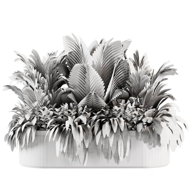 IndoorPlants set143 Image 4