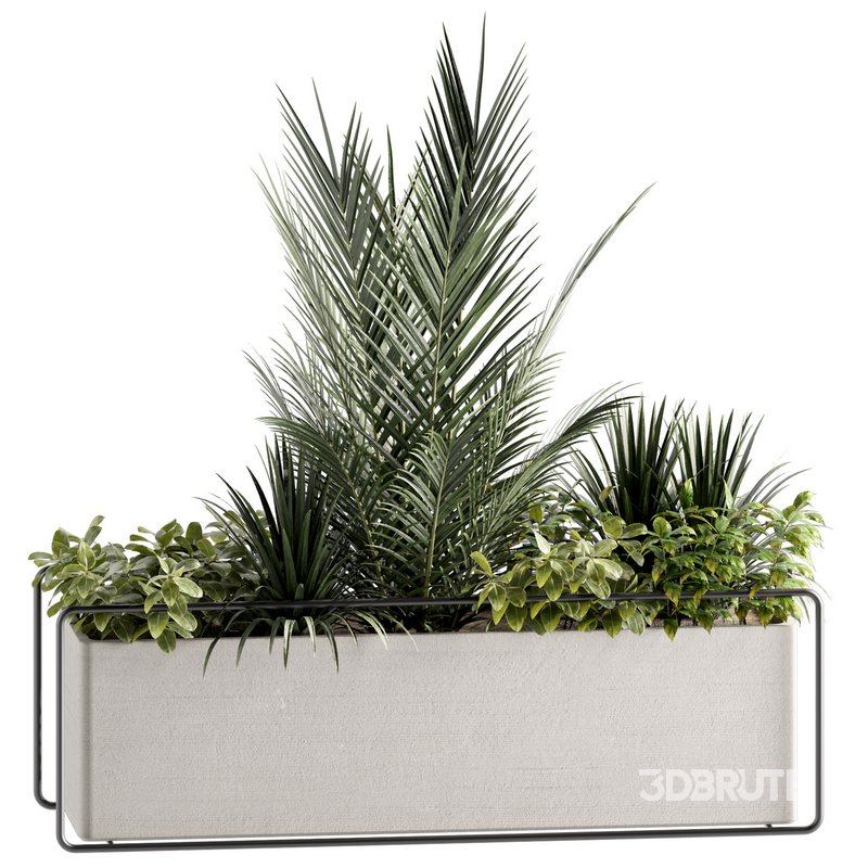 Indoorplants-set144 Image 3