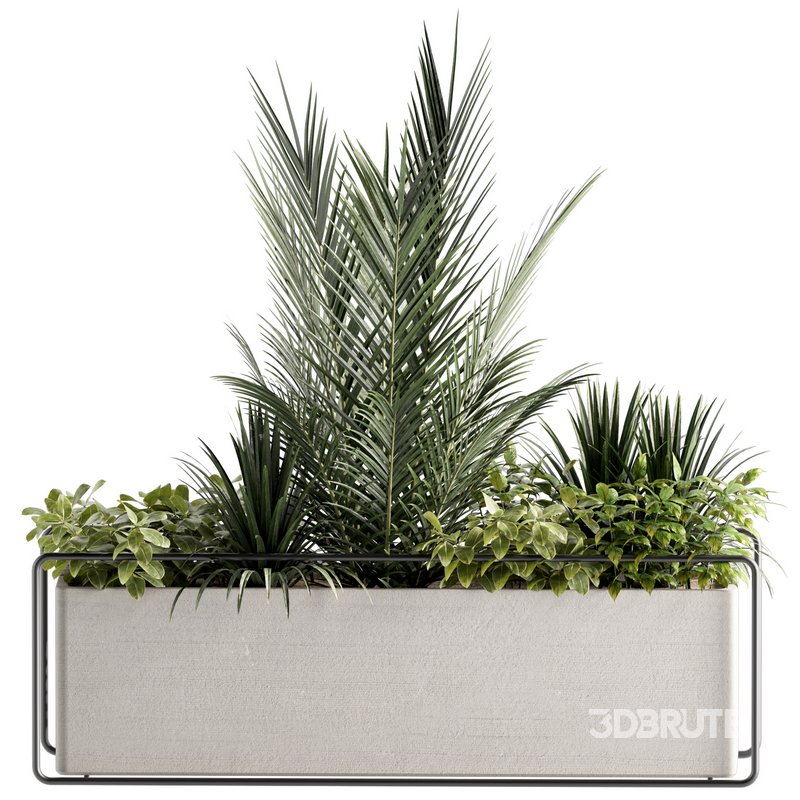 Indoorplants-set144 Image 1