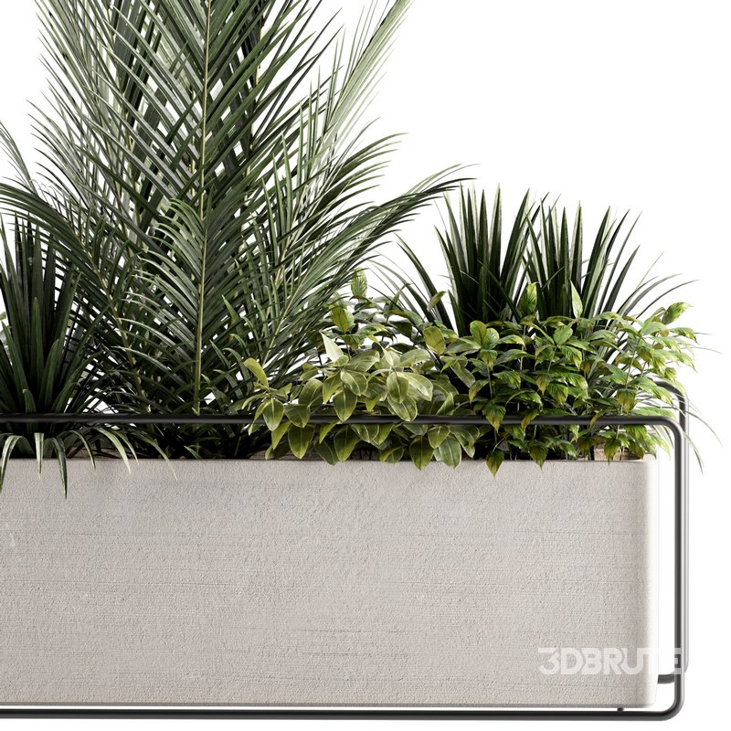 Indoorplants-set144 Image 2