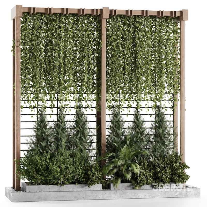 OutDoor Plant-Vertical Garden-Set-29 Image 1