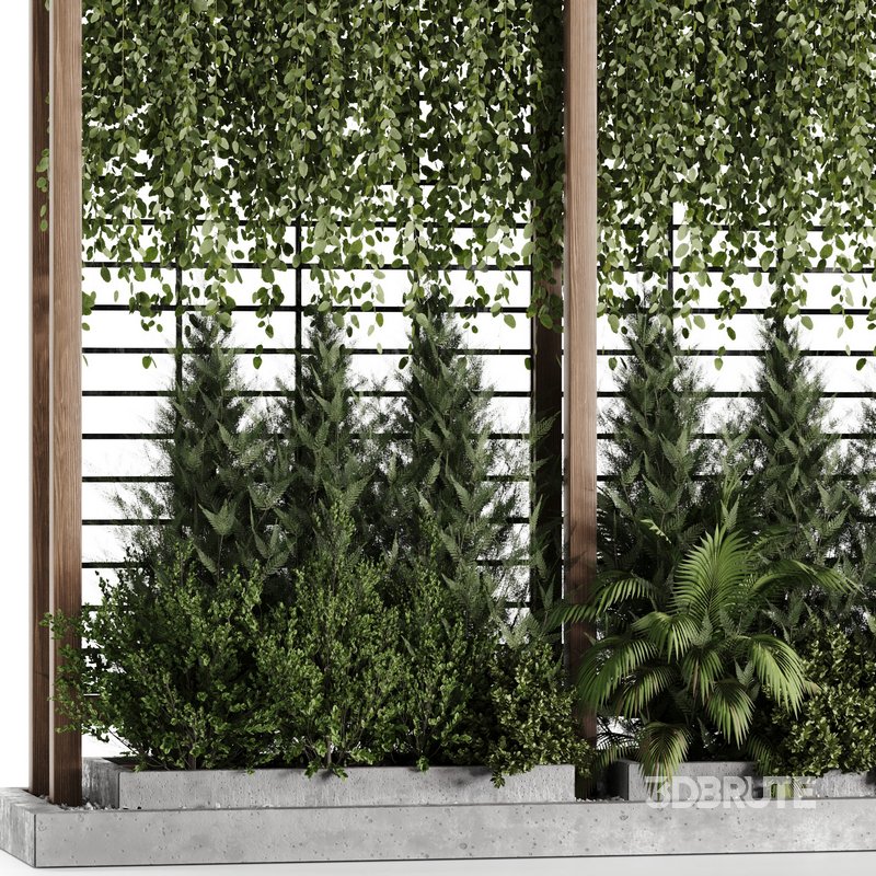 OutDoor Plant-Vertical Garden-Set-29 Image 3