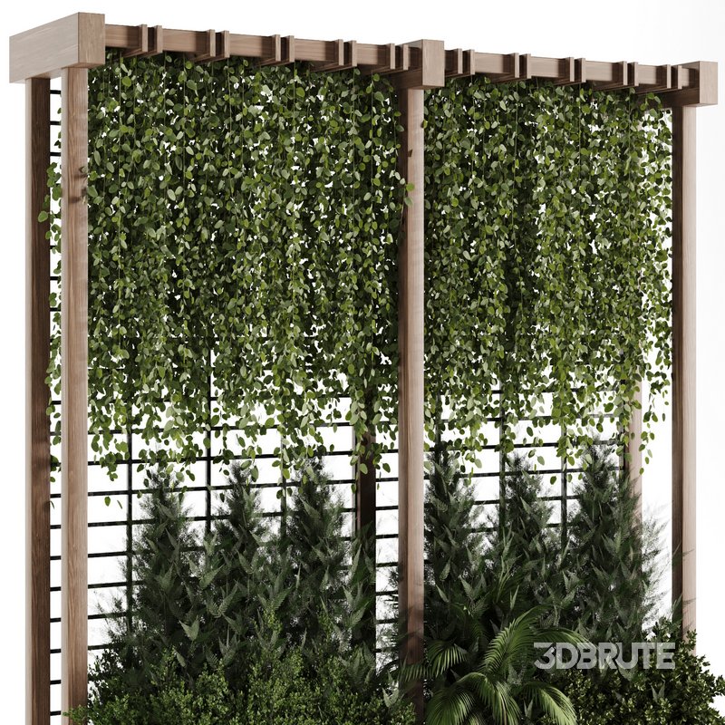 OutDoor Plant-Vertical Garden-Set-29 Image 5