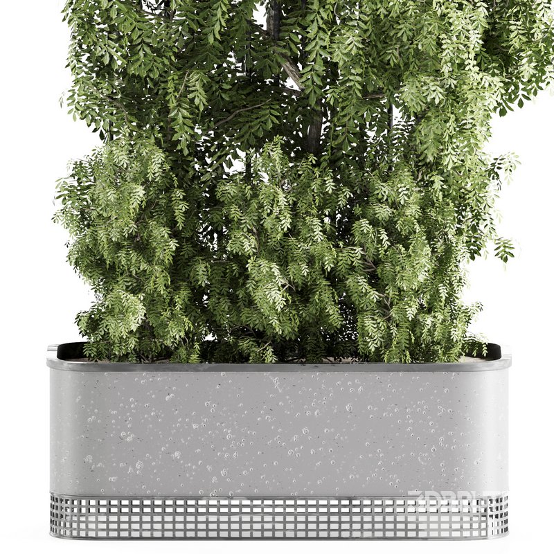 OutdoorPlants-set31 Image 2