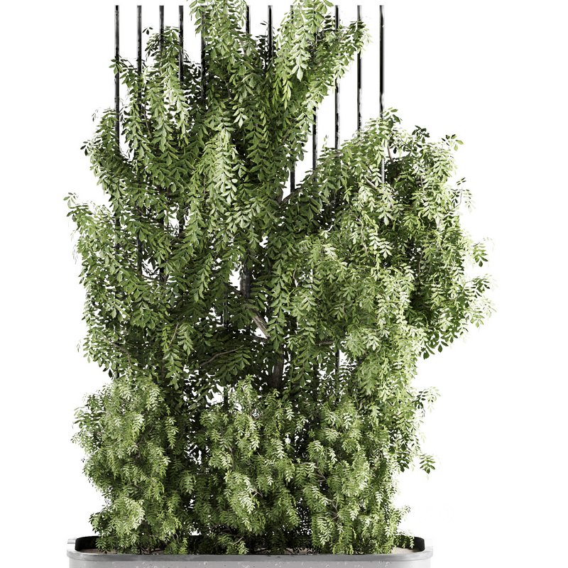 OutdoorPlants-set31 Image 4