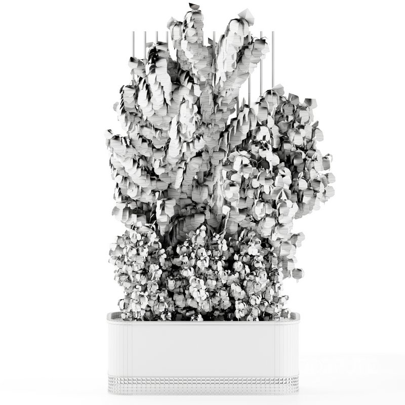 OutdoorPlants-set31 Image 5