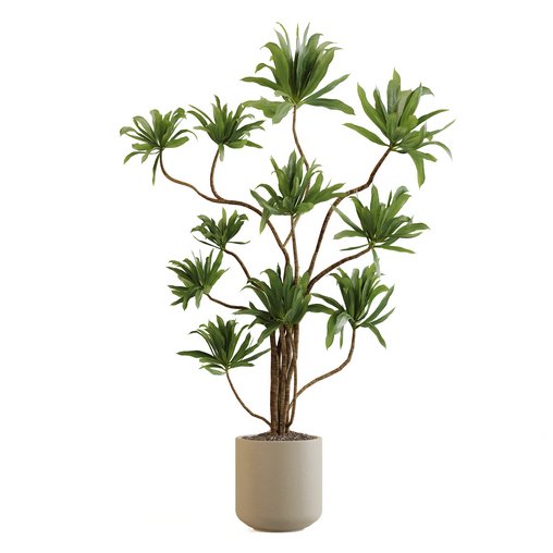 IndoorPlantSet03